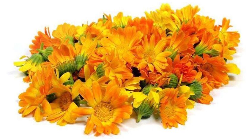 Extrait de calendula à promicil